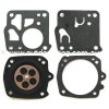 (image for) Tillotson Diaphragm & Gasket Set DG-8HS, DG8HS, OMKDG8HS