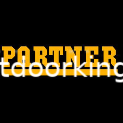 (image for) Partner Genuine K700 Ignition Coil 506027304