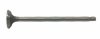 (image for) Briggs & Stratton Genuine Exhaust Valve 394436