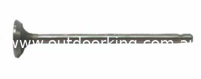 (image for) Briggs & Stratton Genuine Exhaust Valve 394436