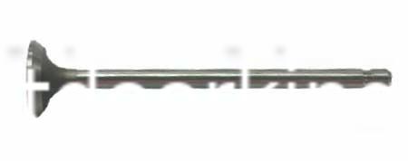 (image for) Briggs & Stratton Genuine Exhaust Valve 394436