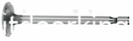 (image for) Briggs & Stratton Genuine 6-8hp Inlet Valve 261055, 261055S