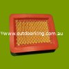 (image for) Parklander Genuine Air Filter QJ1P64.07.01