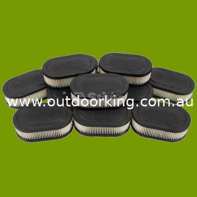 (image for) Briggs & Stratton Air Filter (PK12) 593260, 102-851-12, STE102-851-12