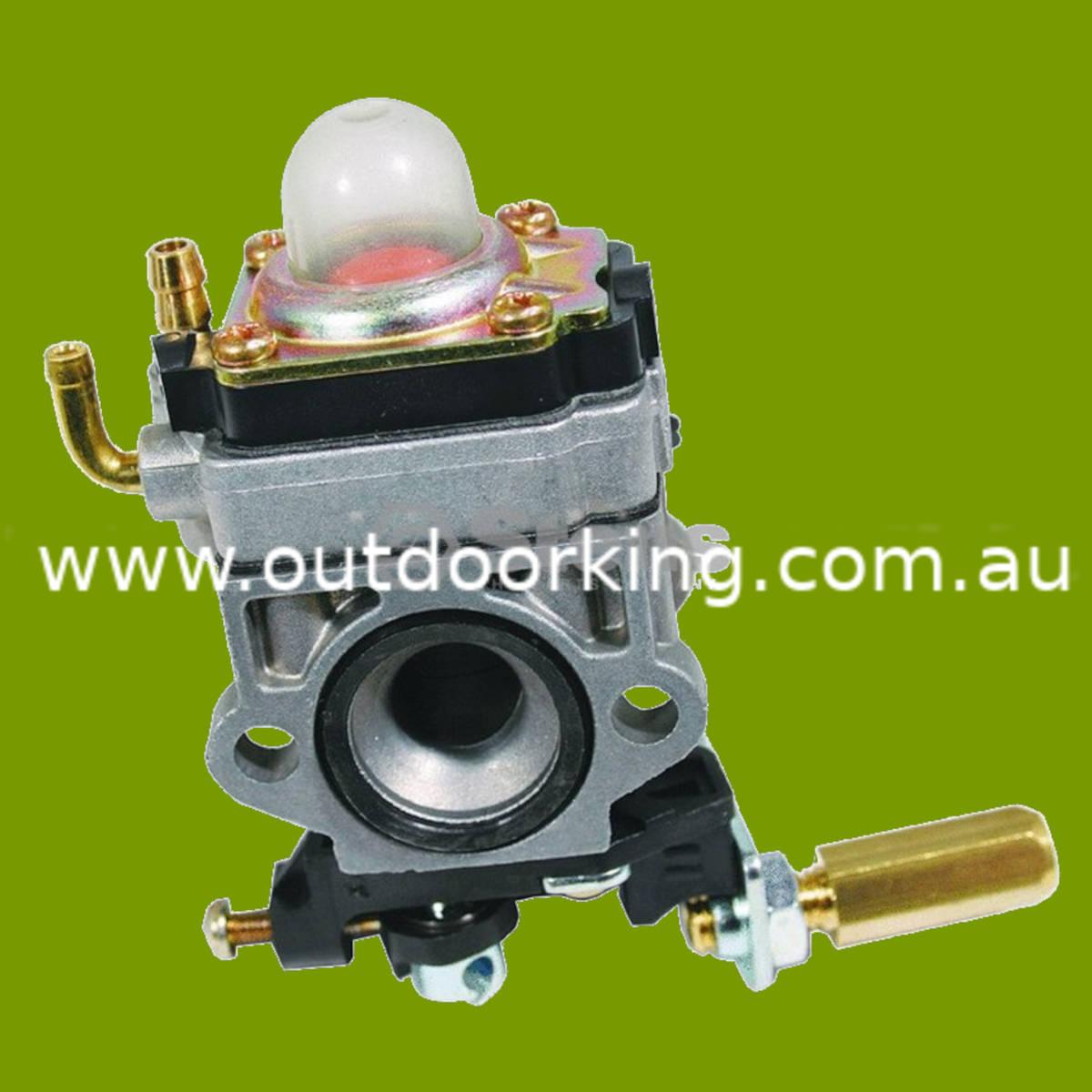(image for) OEM CARBURETTOR WALB WYJ-192-1, 615-223, STE615-223
