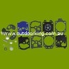 (image for) Walbro OEM Carburettor Kit K10-WAT, 615-538, STE615-538