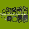 (image for) Walbro OEM Carburettor Kit K10-WY, 615-550, STE615-550