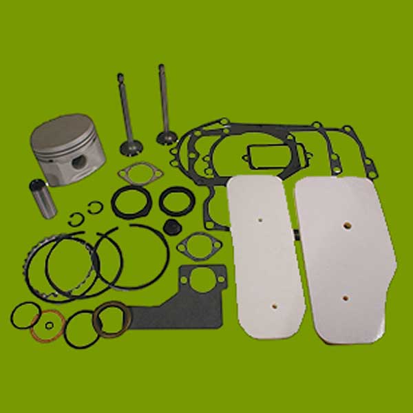 (image for) Briggs and Stratton Overhaul Kits