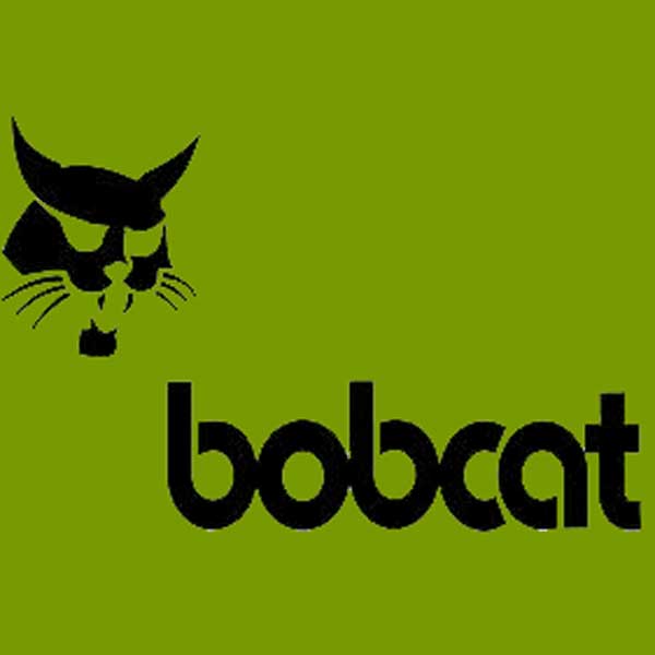 (image for) Bobcat
